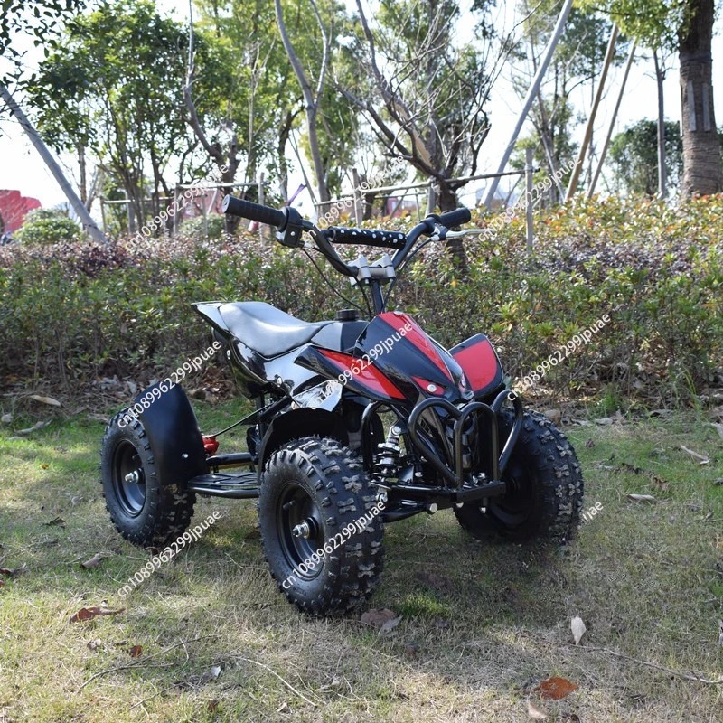49cc 2-Stroke Mini Motorcycle  - Kids Outdoor Quad Bike 评论和价格