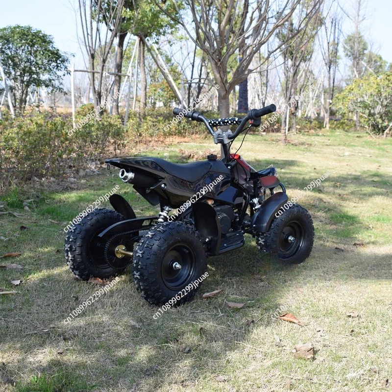 49cc 2-Stroke Mini Motorcycle  - Kids Outdoor Quad Bike 评论和价格