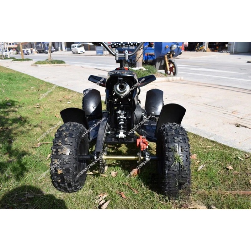 49cc 2-Stroke Mini Motorcycle  - Kids Outdoor Quad Bike 评论和价格