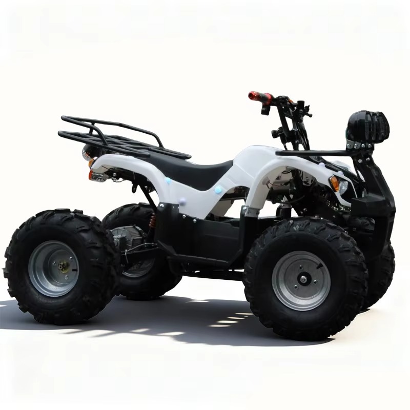 750W 48V Kids Electric ATV Qua - Kids Outdoor Quad Bike 评论和价格