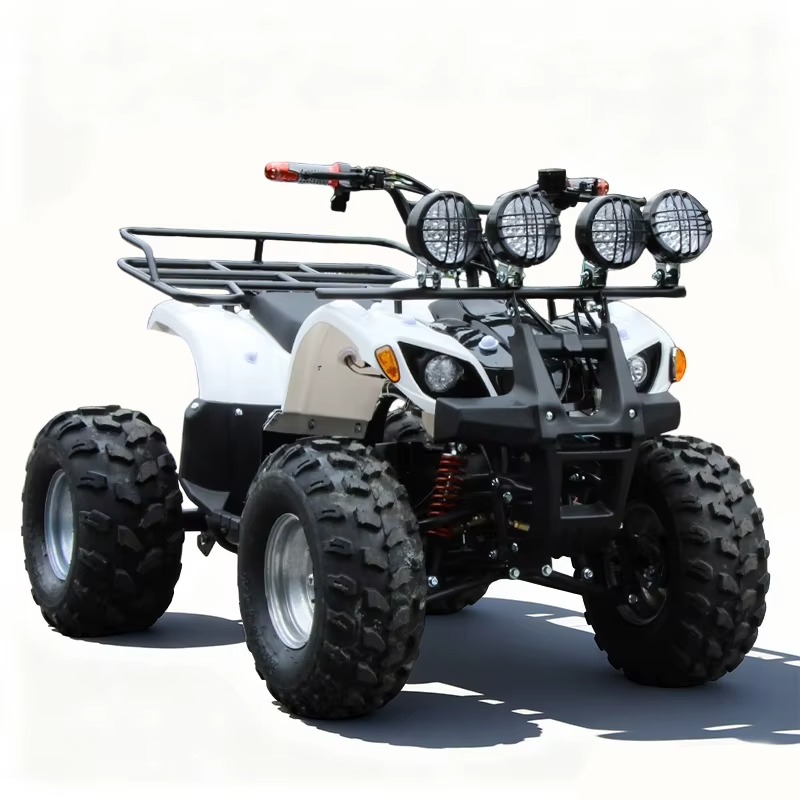 750W 48V Kids Electric ATV Qua - Kids Outdoor Quad Bike 评论和价格