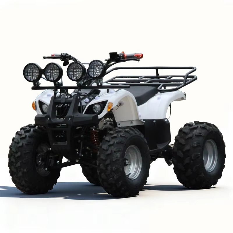 750W 48V Kids Electric ATV Qua - Kids Outdoor Quad Bike 评论和价格