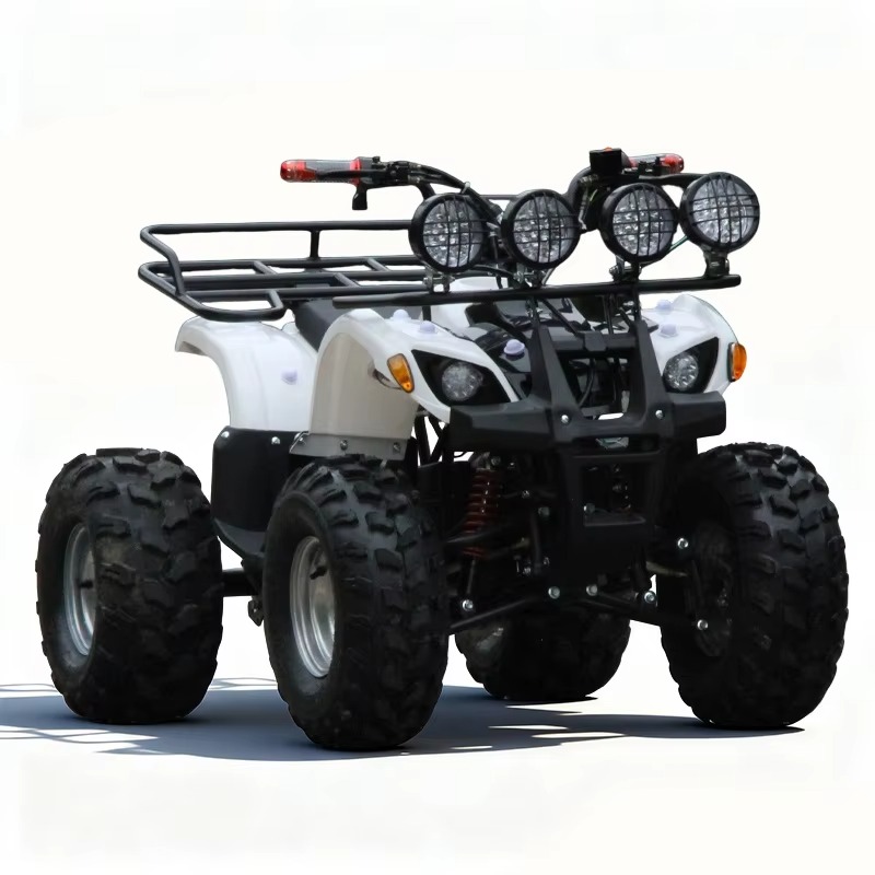 750W 48V Kids Electric ATV Qua - Kids Outdoor Quad Bike 评论和价格