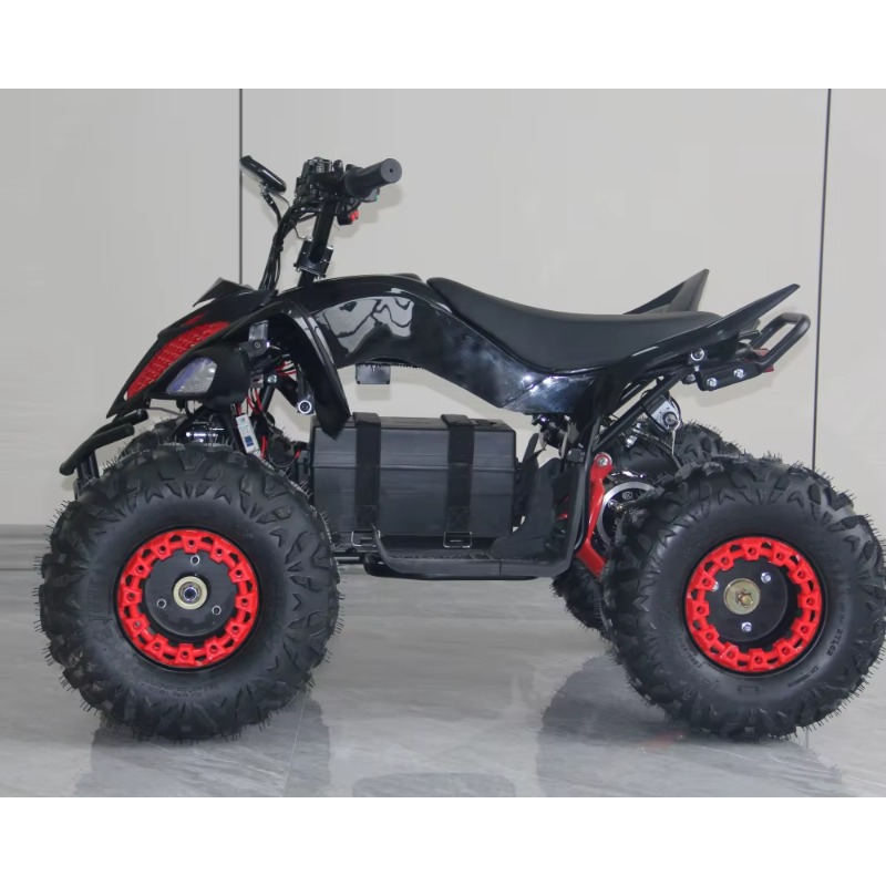48V 1000W Electric Kids ATV 4  - Kids Outdoor Quad Bike 评论和价格