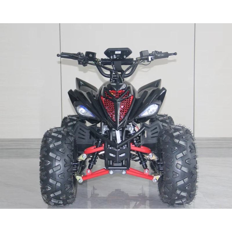 48V 1000W Electric Kids ATV 4  - Kids Outdoor Quad Bike 评论和价格