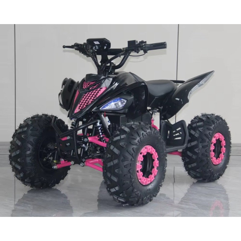 48V 1000W Electric Kids ATV 4  - Kids Outdoor Quad Bike 评论和价格