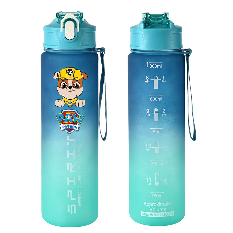 800ml PAW Patrol Sports Water  - Kids Outdoor Mud Kitchen Accessories 评论和价格