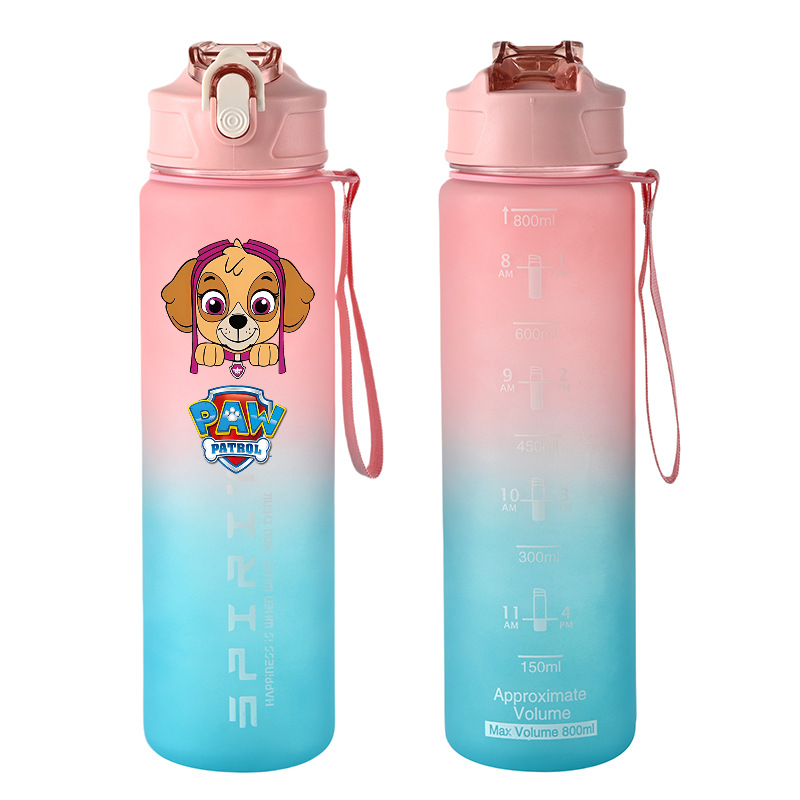 800ml PAW Patrol Sports Water  - Kids Outdoor Mud Kitchen Accessories 评论和价格