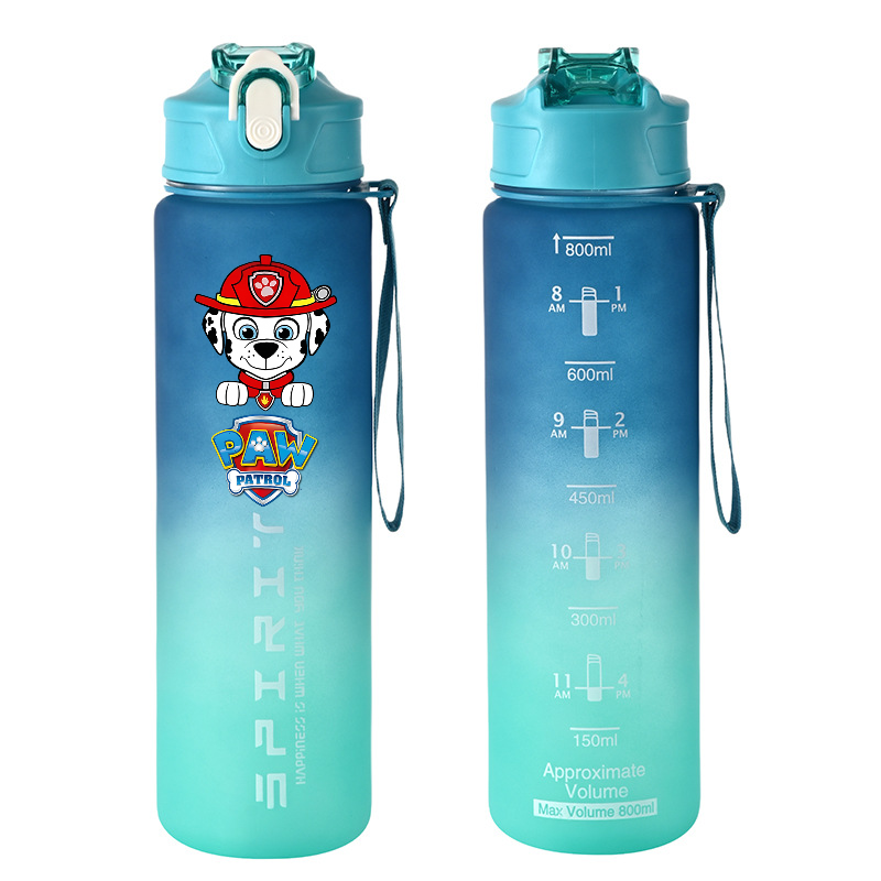 800ml PAW Patrol Sports Water  - Kids Outdoor Mud Kitchen Accessories 评论和价格